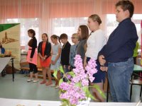 Okleśna