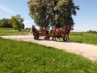 Kwaczała