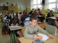 Kwiat kalafiora
