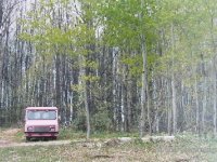Być w stanie