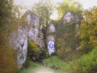 Drzewa-świadkowie historii