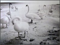 Fotografia otworkowa