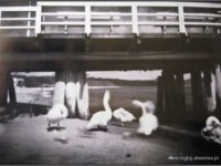 Fotografia otworkowa