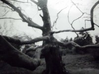 Fotografia otworkowa