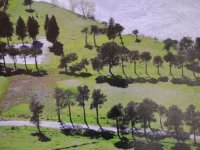 Gruzja