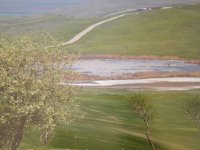 Gruzja