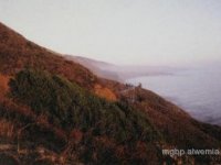 Kalifornia