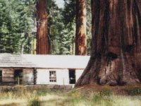 Kalifornia
