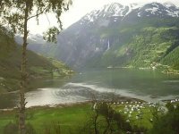 Norwegia
