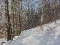 Parki Krajobrazowe Garbu Tenczyńskiego
